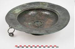 Foto von Bronzebreitrandfußschale (NHMW-PRAE-025521)